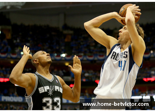 NBA球星自传：荣耀与奋斗的篇章
