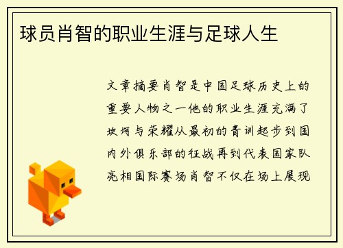 球员肖智的职业生涯与足球人生