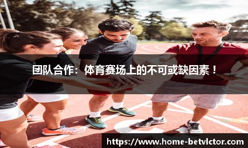 伟博国际