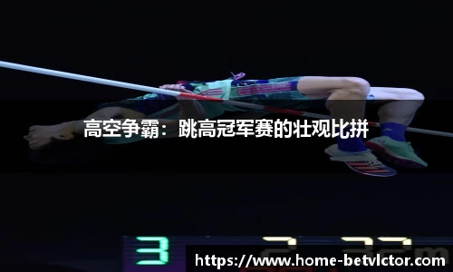 伟博体育bevictor