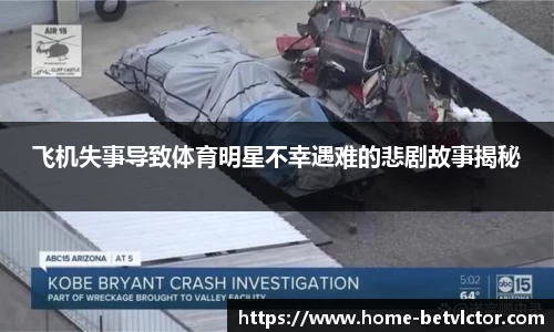 伟博体育官网