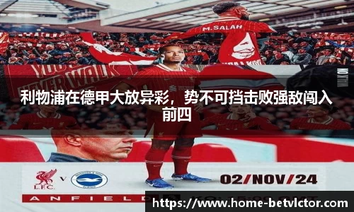 伟博国际