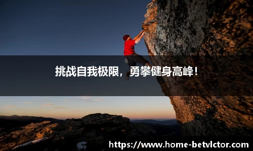 伟博体育官网