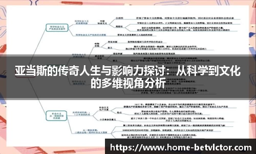 伟博体育app